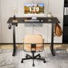 Sweetcrispy Electric Standing Desk with Drawer Adjustable Desk Ergonomic Rising Desk Computer Workstation,48 x 24 Inches Black